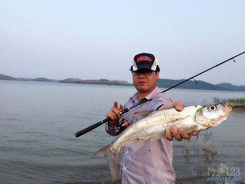 黄岛路亚翘嘴的地方？黄岛收费钓鱼的地方