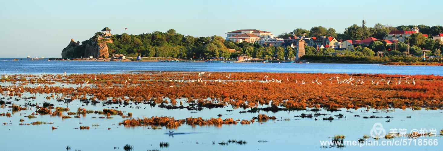 北戴河湿地公园值得去吗?北戴河观鸟湿地收费吗-图3 北戴河湿地公园值得去吗?北戴河观鸟湿地收费吗-图3