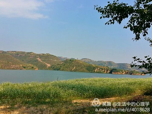 山西有山有水自驾游地方有哪些?祁县汾河钓鱼收费-图1 山西有山有水自驾游地方有哪些?祁县汾河钓鱼收费-图1