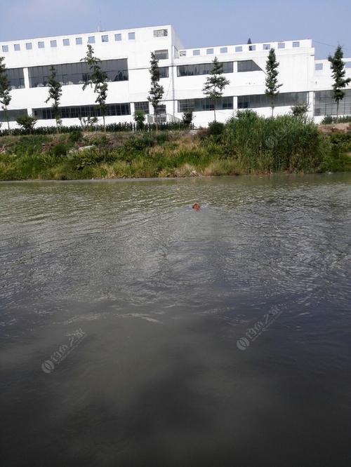 汾湖野钓地点推荐?文峪河水库钓鱼收费-图3 汾湖野钓地点推荐?文峪河水库钓鱼收费-图3