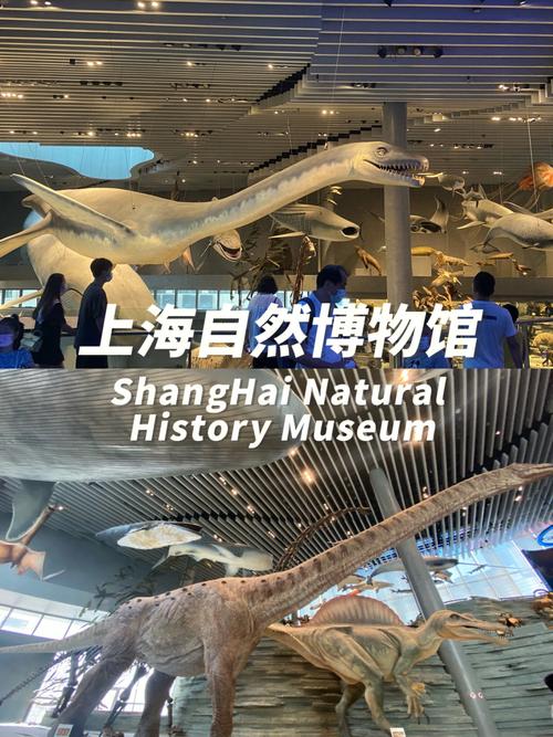 上海自然博物馆门票里面还要收费吗？上海收费博物馆-图3
