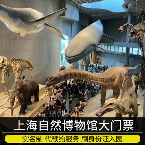上海自然博物馆为什么只有半价票?上海收费的博物馆-图1 上海自然博物馆为什么只有半价票?上海收费的博物馆-图1