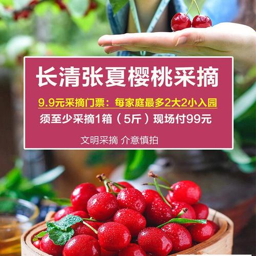 张浦樱桃采摘园门票多少？摘樱桃怎么收费
