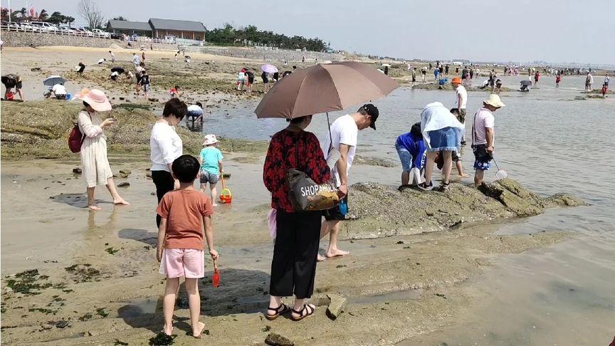 日照哪里可以用鸡肉钓小螃蟹？日照李家台赶海收费吗