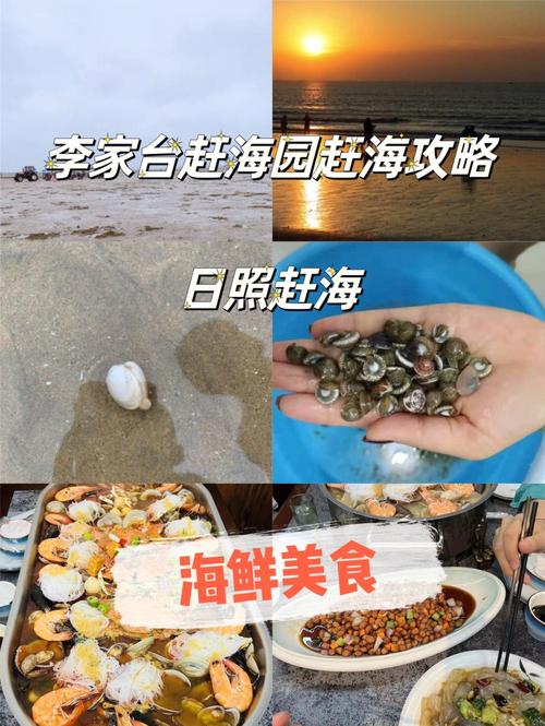 日照哪里可以用鸡肉钓小螃蟹?日照李家台赶海收费吗-图2 日照哪里可以用鸡肉钓小螃蟹?日照李家台赶海收费吗-图2