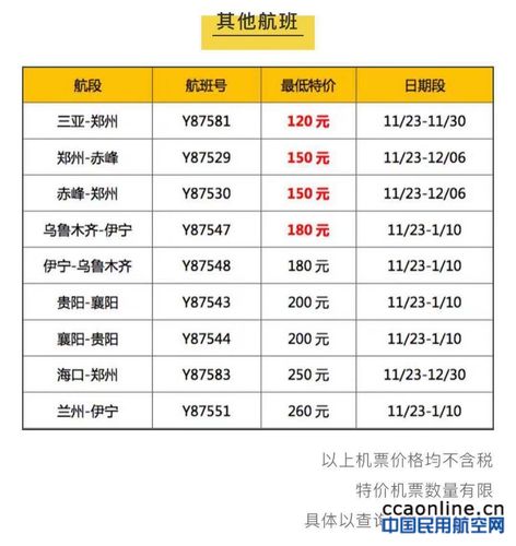 金鹏航空行李额怎么买？新加坡虎航行李收费-图3
