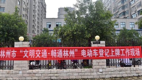林州市哪里能免费上牌电动车?林州6路收费-图2 林州市哪里能免费上牌电动车?林州6路收费-图2