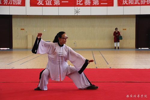 2008奥运会太极拳冠军？沧州柳孟春收费标准