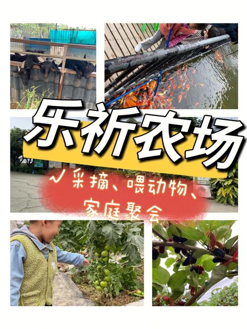 农场和公社的区别?番禺乐祈农庄 收费标准-图2 农场和公社的区别?番禺乐祈农庄 收费标准-图2