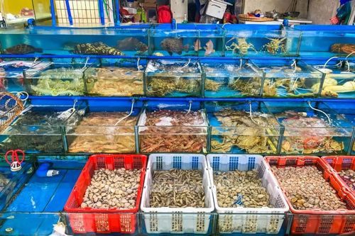 请问一下广州市有几个海鲜批发市场?海宝湾停车收费-图2 请问一下广州市有几个海鲜批发市场?海宝湾停车收费-图2