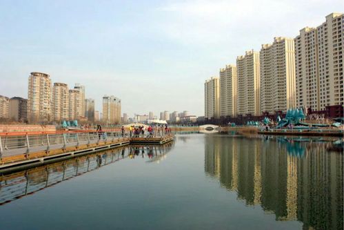 衡水夜市在哪阿?衡水怡水公园收费吗-图3 衡水夜市在哪阿?衡水怡水公园收费吗-图3
