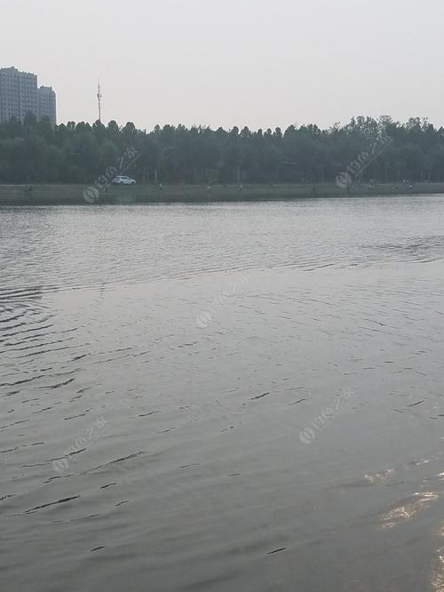 七里河水库可以钓鱼吗？邢台七里河钓鱼收费