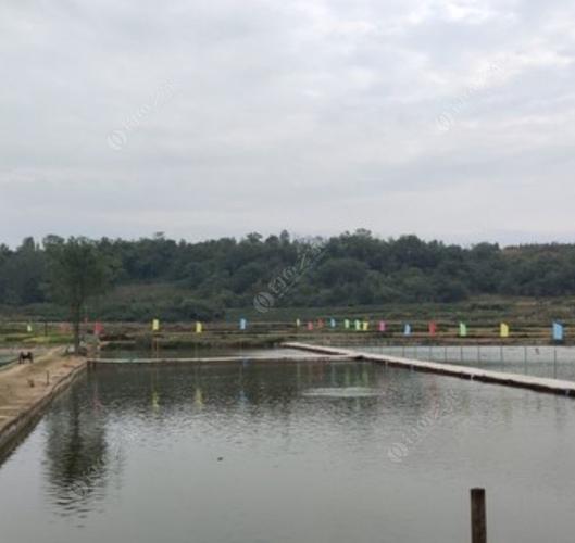 沙坪坝哪些地方钓鱼好?曾家垂钓园如何收费-图3 沙坪坝哪些地方钓鱼好?曾家垂钓园如何收费-图3