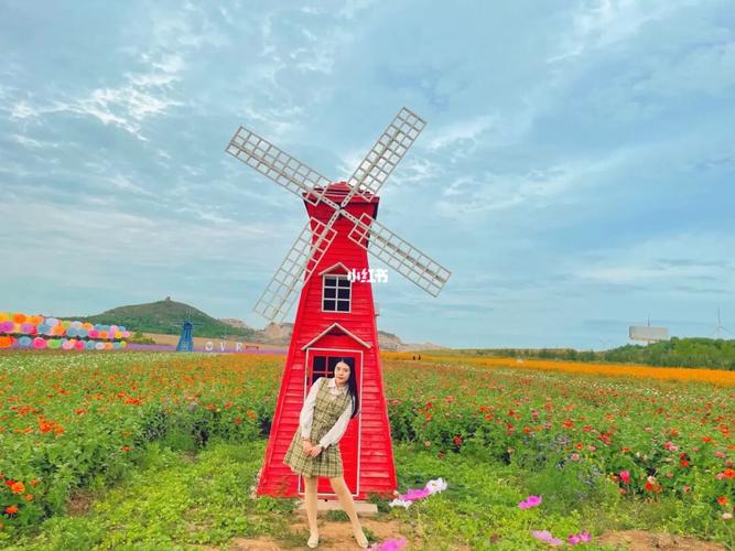 南京周边海边景点推荐?朱家尖花海的收费-图2 南京周边海边景点推荐?朱家尖花海的收费-图2