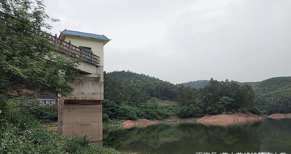 南宁可以钓鲢鳙的水库?南宁银岭水库收费吗-图2 南宁可以钓鲢鳙的水库?南宁银岭水库收费吗-图2