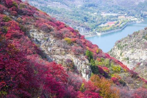山东潍坊五一免门票的景区?青州那个山不收费景点-图3 山东潍坊五一免门票的景区?青州那个山不收费景点-图3