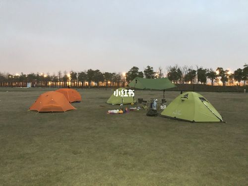 秀水公园可以露营吗?石家庄露营收费-图1 秀水公园可以露营吗?石家庄露营收费-图1