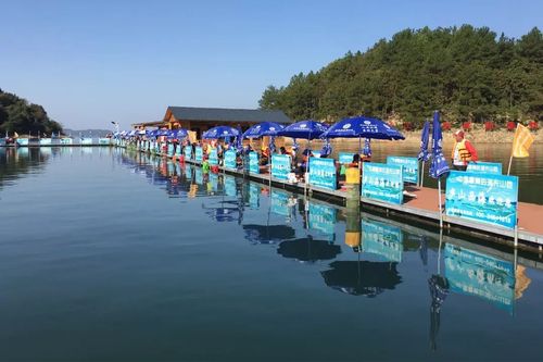 庐山西海瑶池湾垂钓基地钓鱼规则?西海钓鱼怎么收费-图2 庐山西海瑶池湾垂钓基地钓鱼规则?西海钓鱼怎么收费-图2