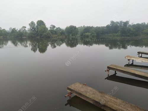 奎潭湖钓鱼怎么样?宣城钓鱼的地方收费-图2 奎潭湖钓鱼怎么样?宣城钓鱼的地方收费-图2