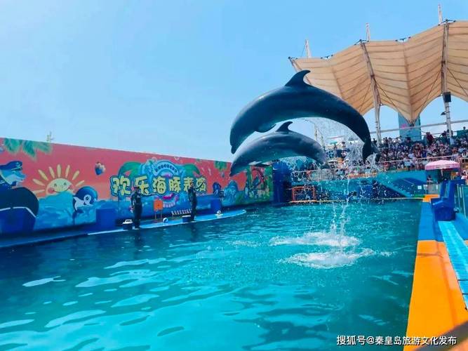 乐岛海洋公园和新澳海洋馆哪个好?浅水湾欢乐世界收费吗-图3 乐岛海洋公园和新澳海洋馆哪个好?浅水湾欢乐世界收费吗-图3