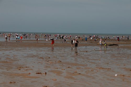 营口海边什么地方好玩？去营口在海边住收费么