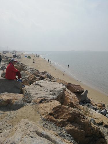 营口海边什么地方好玩?去营口在海边住收费么-图2 营口海边什么地方好玩?去营口在海边住收费么-图2