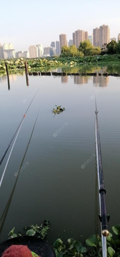 武汉市室内钓鱼的地方?沙湖 项目收费-图2 武汉市室内钓鱼的地方?沙湖 项目收费-图2