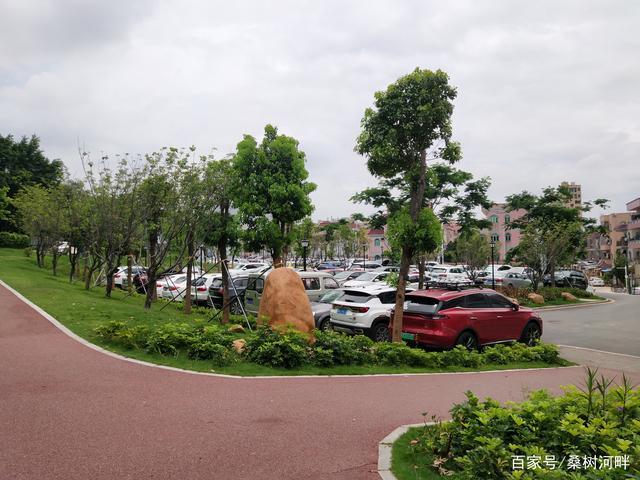 半山公园可以免费停车吗?深圳运动公园停车收费吗-图3 半山公园可以免费停车吗?深圳运动公园停车收费吗-图3