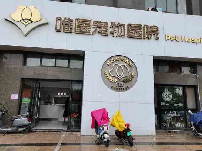 徐州哪家宠物医院好?徐州宠物医院收费标准-图2 徐州哪家宠物医院好?徐州宠物医院收费标准-图2