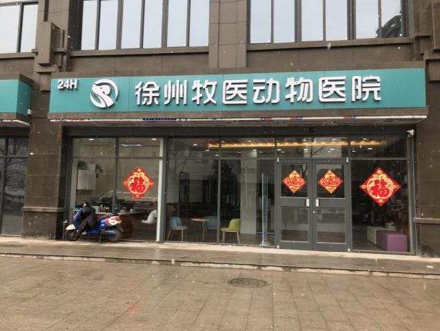 徐州哪家宠物医院好？徐州宠物医院收费标准