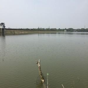 扬州大仪立新水库可以钓鱼吗？扬州水库收费标准
