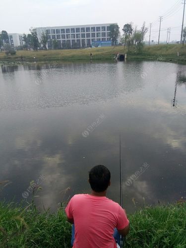 扬州大仪立新水库可以钓鱼吗?扬州水库收费标准-图3 扬州大仪立新水库可以钓鱼吗?扬州水库收费标准-图3