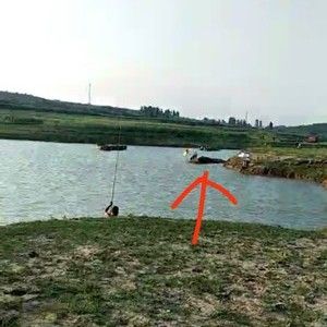 邯郸码头有什么好玩的?岳城水库钓鱼收费-图1 邯郸码头有什么好玩的?岳城水库钓鱼收费-图1