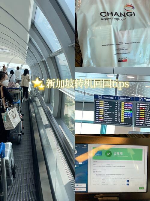 去英国在新加坡机场转机步骤？越捷值机收费