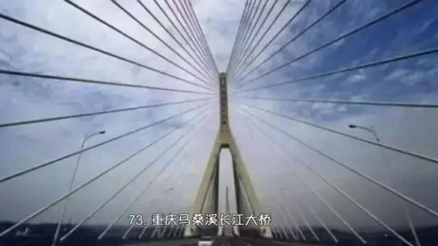 地维长江大桥收费50元合理吗?重庆长江大桥收费标准-图3 地维长江大桥收费50元合理吗?重庆长江大桥收费标准-图3