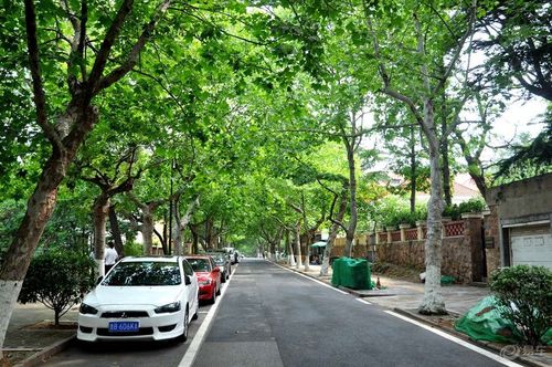 青岛景点停车攻略？八大关停车收费