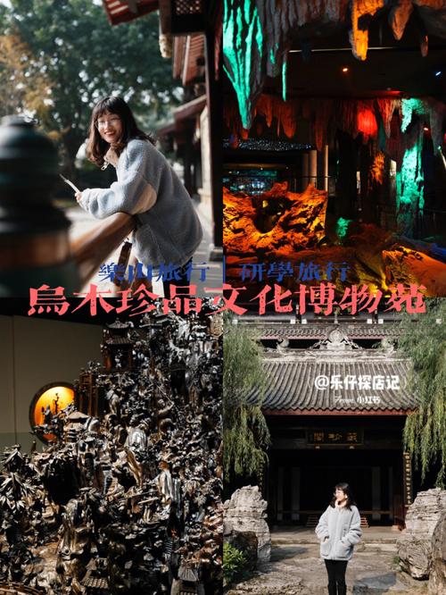 谁知道乐山市苏稽镇乌木博物馆的收费标准?博物馆讲解收费方案-图2 谁知道乐山市苏稽镇乌木博物馆的收费标准?博物馆讲解收费方案-图2