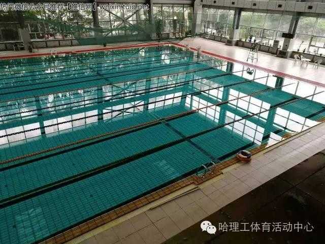 哈尔滨理工游泳馆对外吗?哈理工游泳馆收费-图3 哈尔滨理工游泳馆对外吗?哈理工游泳馆收费-图3