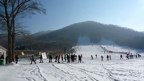 玉泉国际滑雪场门票?哈市到玉泉收费多少钱-图1 玉泉国际滑雪场门票?哈市到玉泉收费多少钱-图1