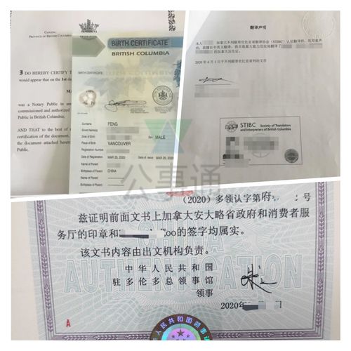 荷兰的出生公证和双认证?荷兰双认证收费-图2 荷兰的出生公证和双认证?荷兰双认证收费-图2