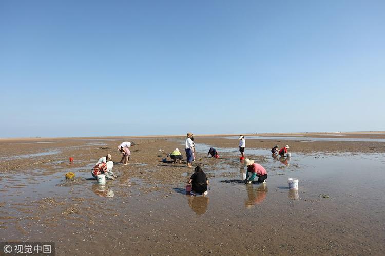 威海金沙滩赶海最佳时间？黄岛金沙滩赶海收费吗