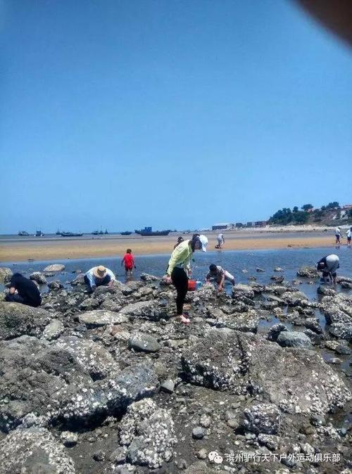 威海金沙滩赶海最佳时间?黄岛金沙滩赶海收费吗-图2 威海金沙滩赶海最佳时间?黄岛金沙滩赶海收费吗-图2