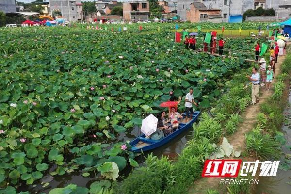 江西特大项目名单?江华竹园寨荷花收费么-图2 江西特大项目名单?江华竹园寨荷花收费么-图2