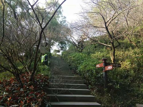 苏州有什么好玩可以爬的山吗?金鸡山公园停车收费-图2 苏州有什么好玩可以爬的山吗?金鸡山公园停车收费-图2
