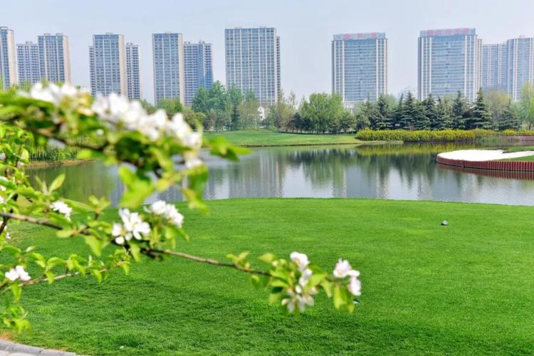 郑州周边适合住一夜有水的景区?金沙湖高尔夫收费标准-图2 郑州周边适合住一夜有水的景区?金沙湖高尔夫收费标准-图2