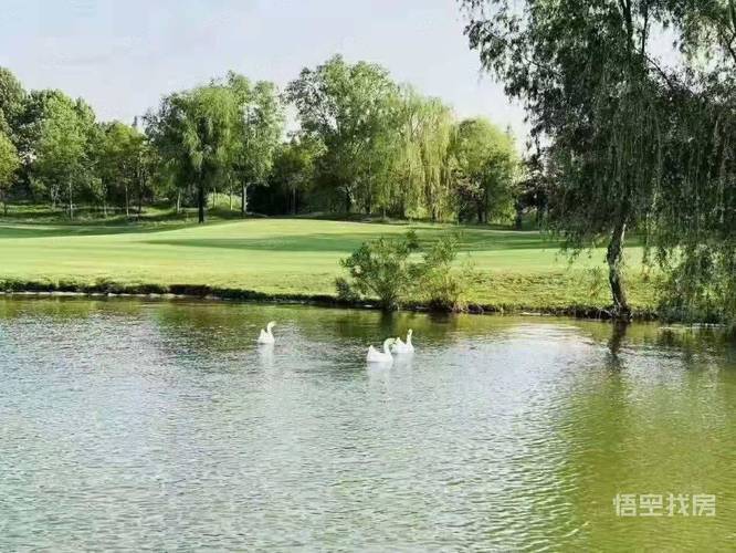 金沙湖高尔夫观邸附近有收废品的吗?金沙湖高尔夫怎么收费-图2 金沙湖高尔夫观邸附近有收废品的吗?金沙湖高尔夫怎么收费-图2