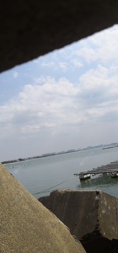 海口哪有钓鱼地方（收费的也行）？南港码头钓鱼收费