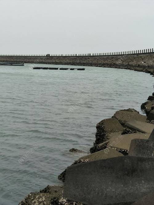 海口哪有钓鱼地方(收费的也行)?南港码头钓鱼收费-图3 海口哪有钓鱼地方(收费的也行)?南港码头钓鱼收费-图3