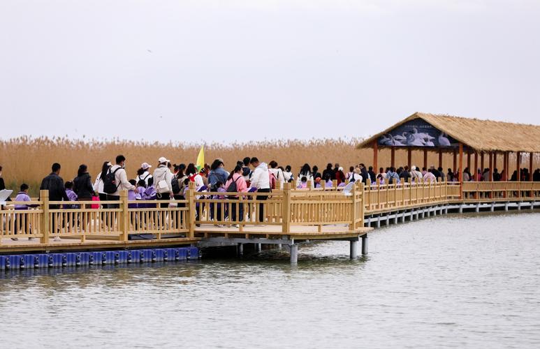 银川不夜城要门票吗?宁夏沙湖项目收费明细-图3 银川不夜城要门票吗?宁夏沙湖项目收费明细-图3