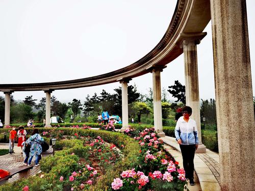 金石滩植物园坐什么车?金石滩植物园收费吗-图3 金石滩植物园坐什么车?金石滩植物园收费吗-图3
